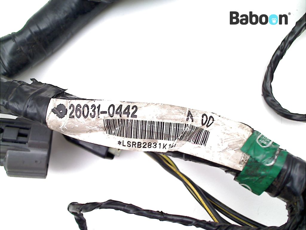 ちゃー様 Kawasaki ZX 10 R 2006-2007 (NINJA ZX-10R ZX1000D) Faisceau de