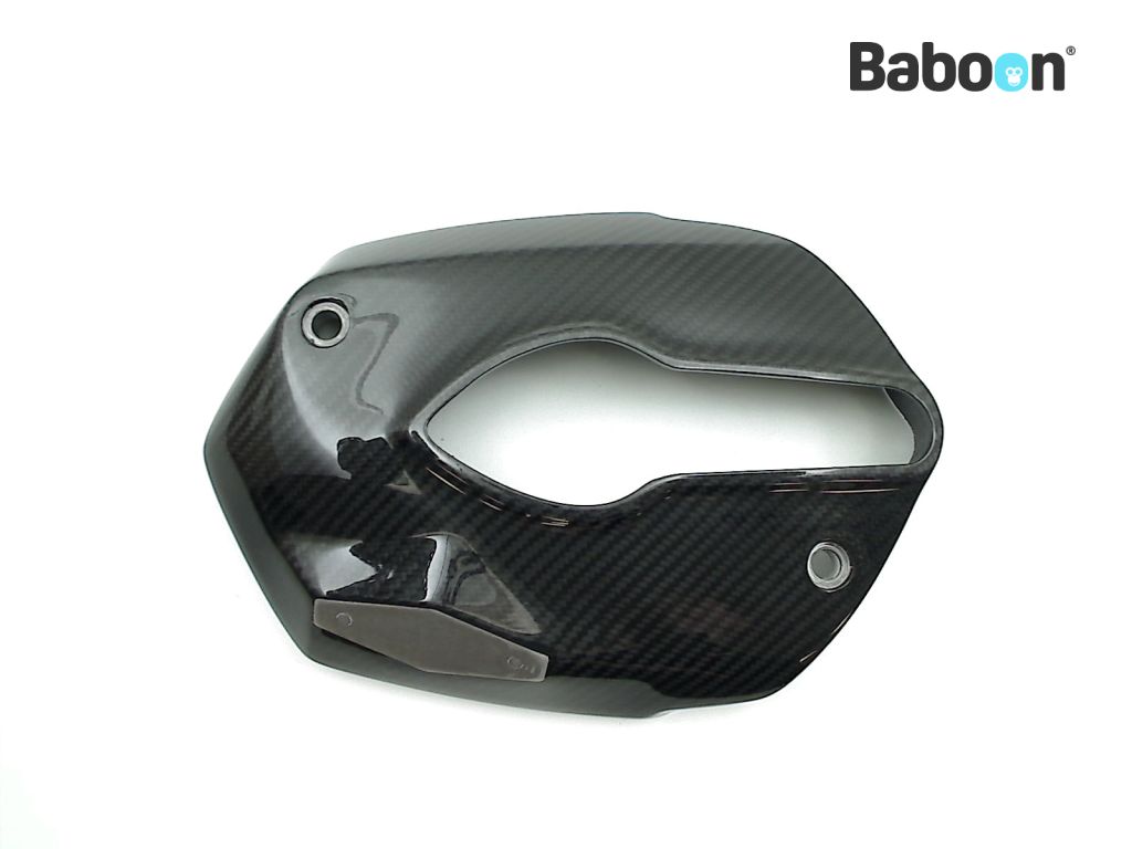 BMW R 1200 GS 2008-2009 (R1200GS 08) Protettore testa cilindro Left HP Carbon (7709405)