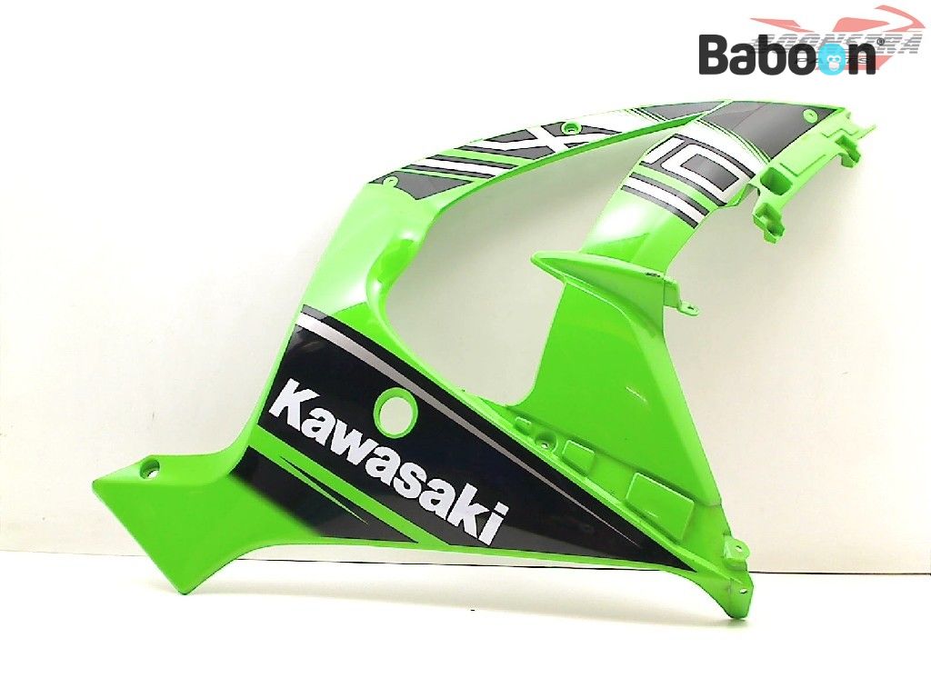 Kawasaki ZX 10 R 2011-2015 + ABS (NINJA ZX-10R ZX1000J-K) Fairing