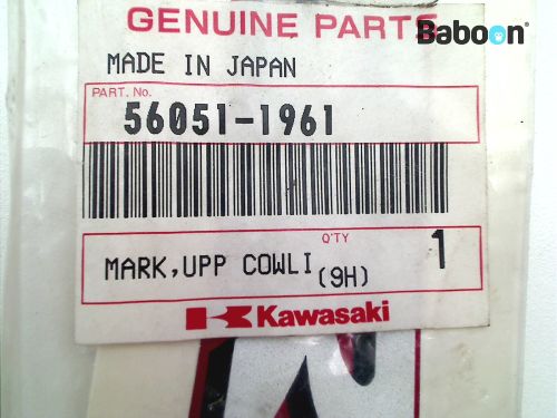 Kawasaki ZX 9 R 1998-1999 (NINJA ZX-9R ZX900C-D) Decal