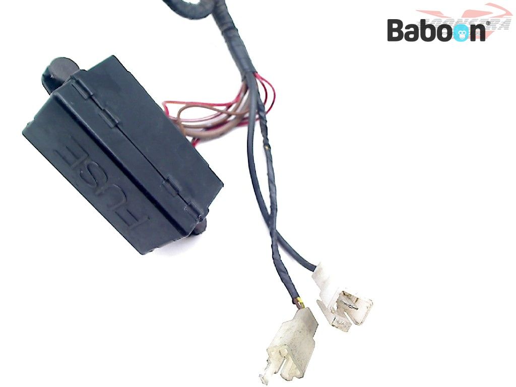 Yamaha FZS 600 Fazer 1998-2001 (FZS600) Wiring Harness (Main) | Baboon