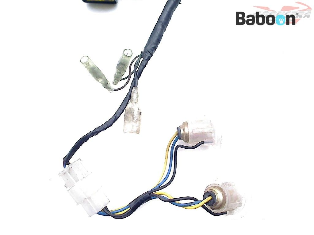 Yamaha FZS 600 Fazer 1998-2001 (FZS600) Wiring Harness (Main) | Baboon