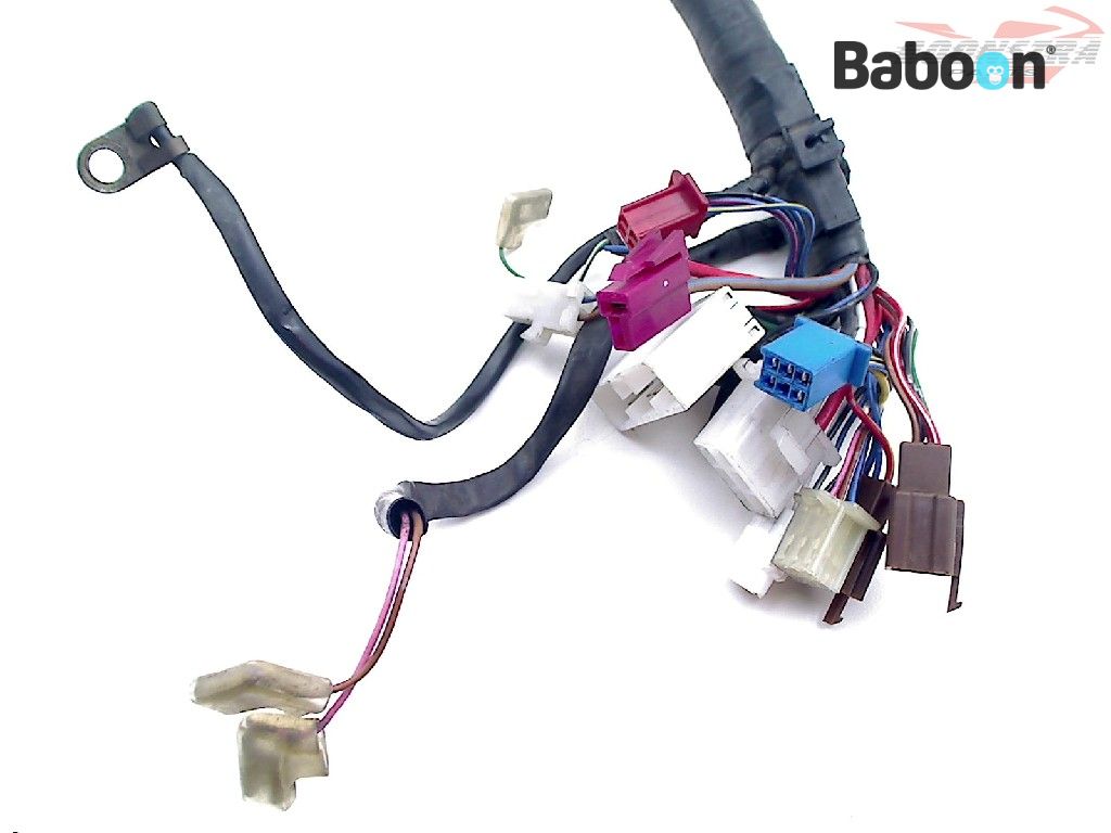 Yamaha FZS 600 Fazer 1998-2001 (FZS600) Wiring Harness (Main) | Baboon