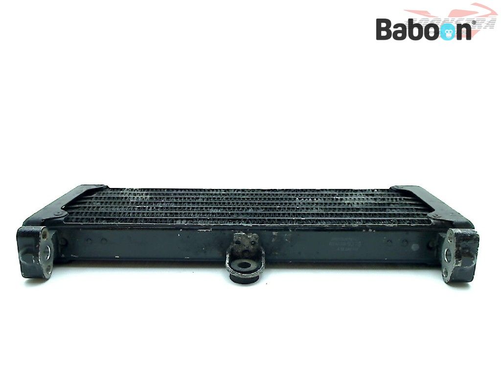 Radiateur Pour Moto Kawasaki ZR1100 Zéphyr - Pièce D'occasion, Opérationnelle, Noir