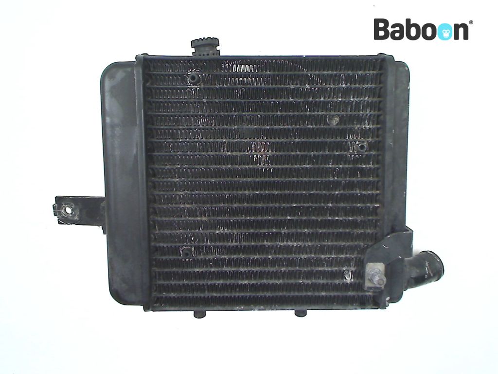 Benelli TNT 1130 2005 Conduta de radiador de óleo lado esquerdo