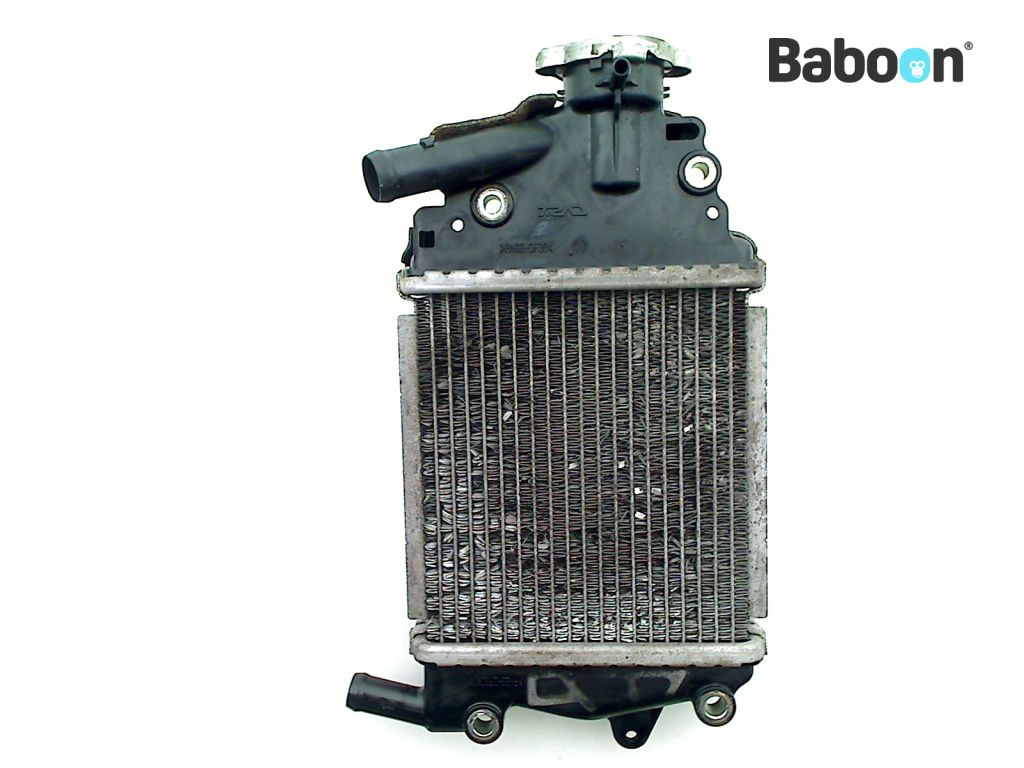 Honda PCX 150 2014-2017 (PCX150 JF56/KF18) Radiator | Baboon Motorcycle ...