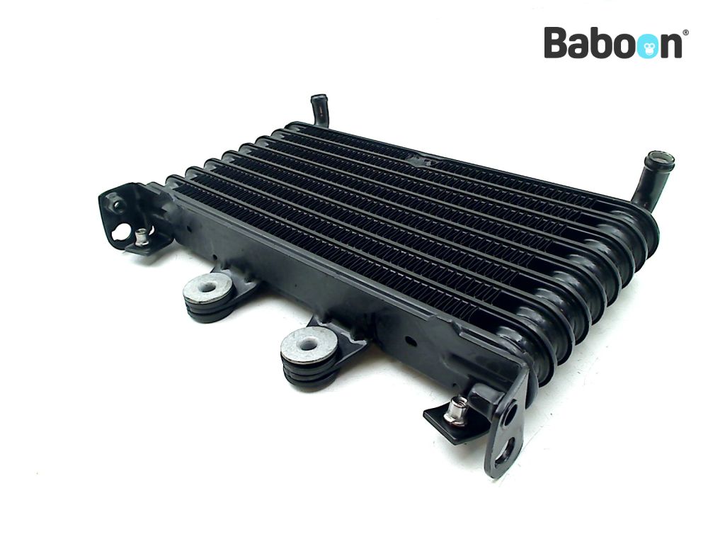 BMW R nineT 2020- (K21 20) Oil Cooler (8409648) | Baboon 