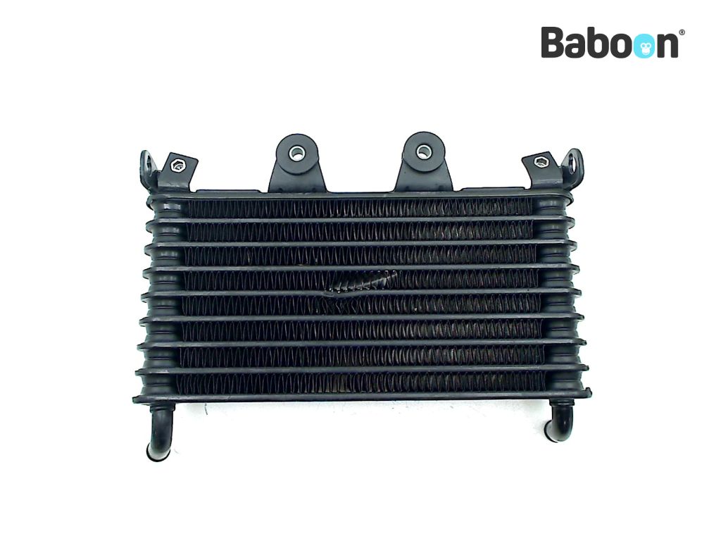 BMW R nineT 2020- (K21 20) Oil Cooler (8409648) | Baboon  
