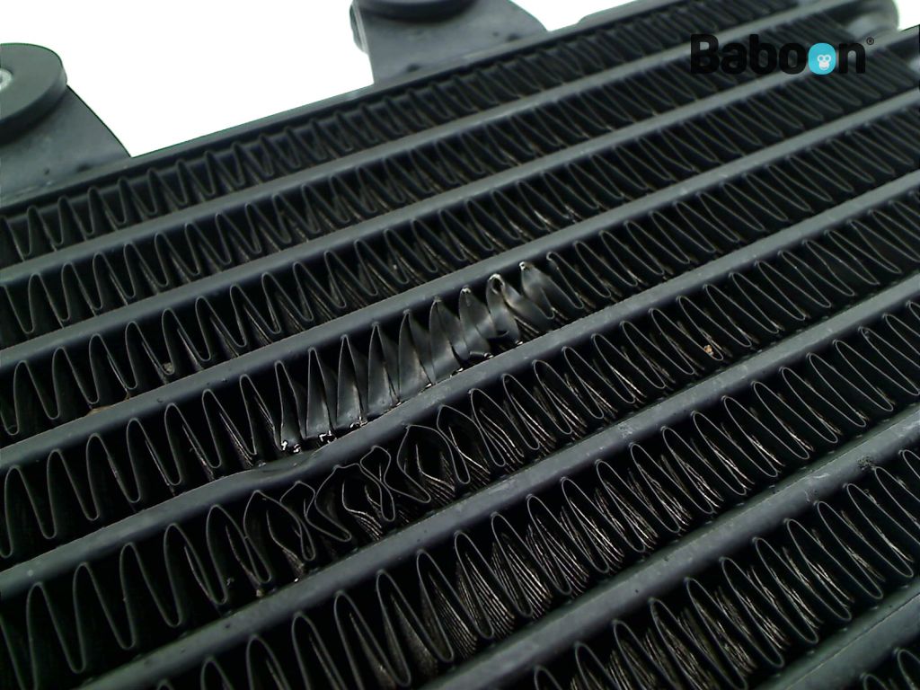 BMW R nineT 2020- (K21 20) Oil Cooler (8409648) | Baboon 