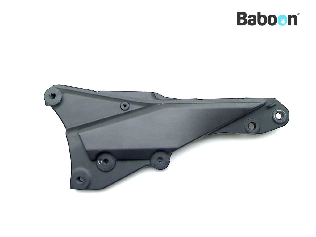 Kawasaki Z 1000 SX 2014-2016 +ABS (Z1000SX ZX1000L-M) Subframe