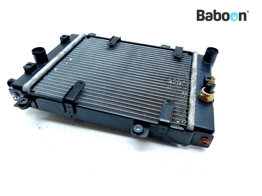 Kymco Xciting 500 Radiator | Baboon Motorcycle Parts