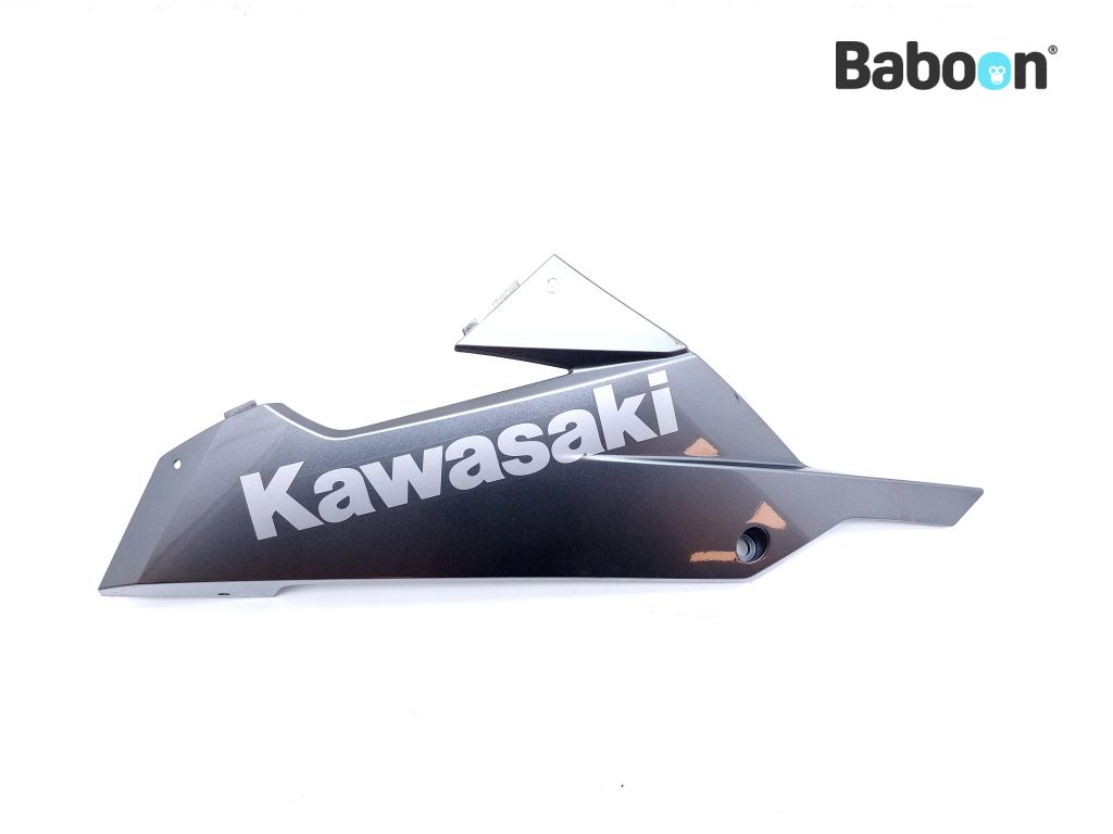 Kawasaki NINJA 300 2017 Quilla (Izquierda) (55028-0420)
