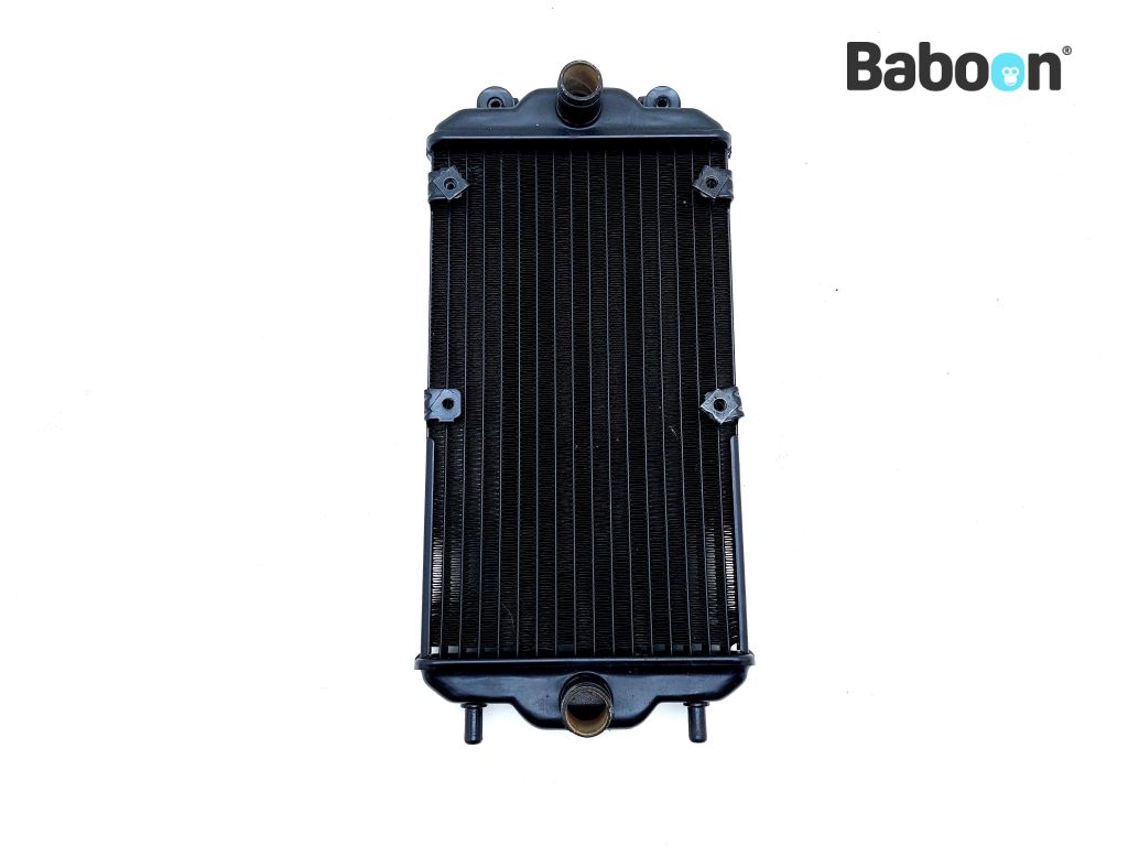 Harley-Davidson XG 500 Street 2015-2018 Radiator (26800014  