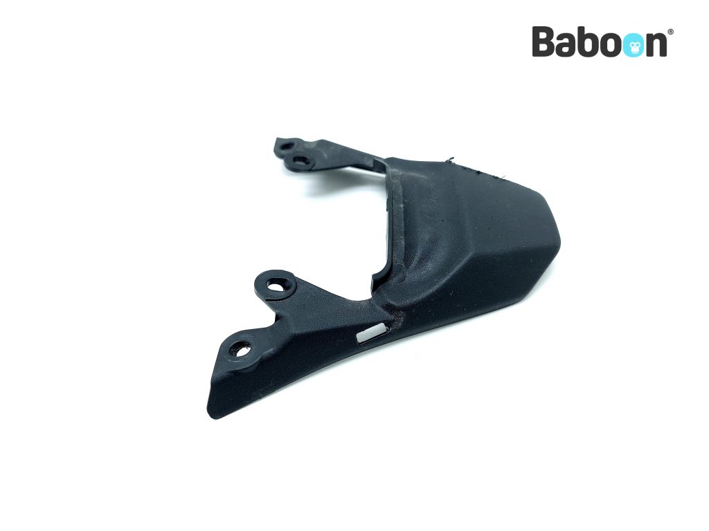 Kawasaki ZX 6 R 2019-2020 (NINJA ZX-6R ZX636G-H) Tail
