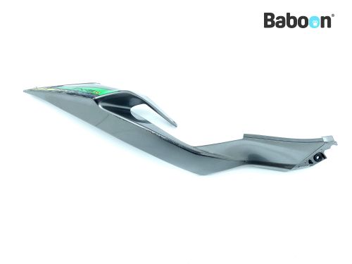 Kawasaki ZX 6 R 2019-2020 (NINJA ZX-6R ZX636G-H) Tail