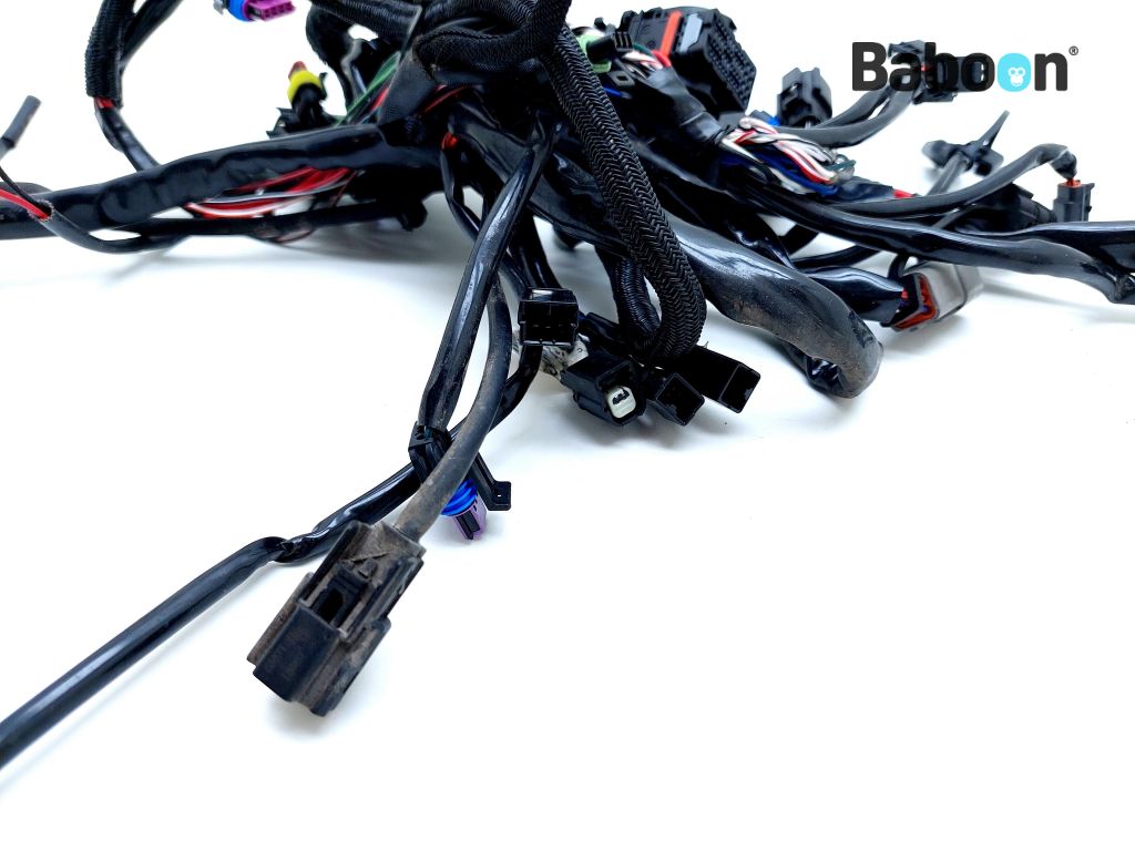 Harley-Davidson XL 1200 X Sportster Forty-Eight 2019 Wiring Harness ...