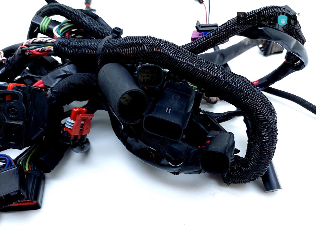 Harley-Davidson XL 1200 X Sportster Forty-Eight 2019 Wiring Harness ...