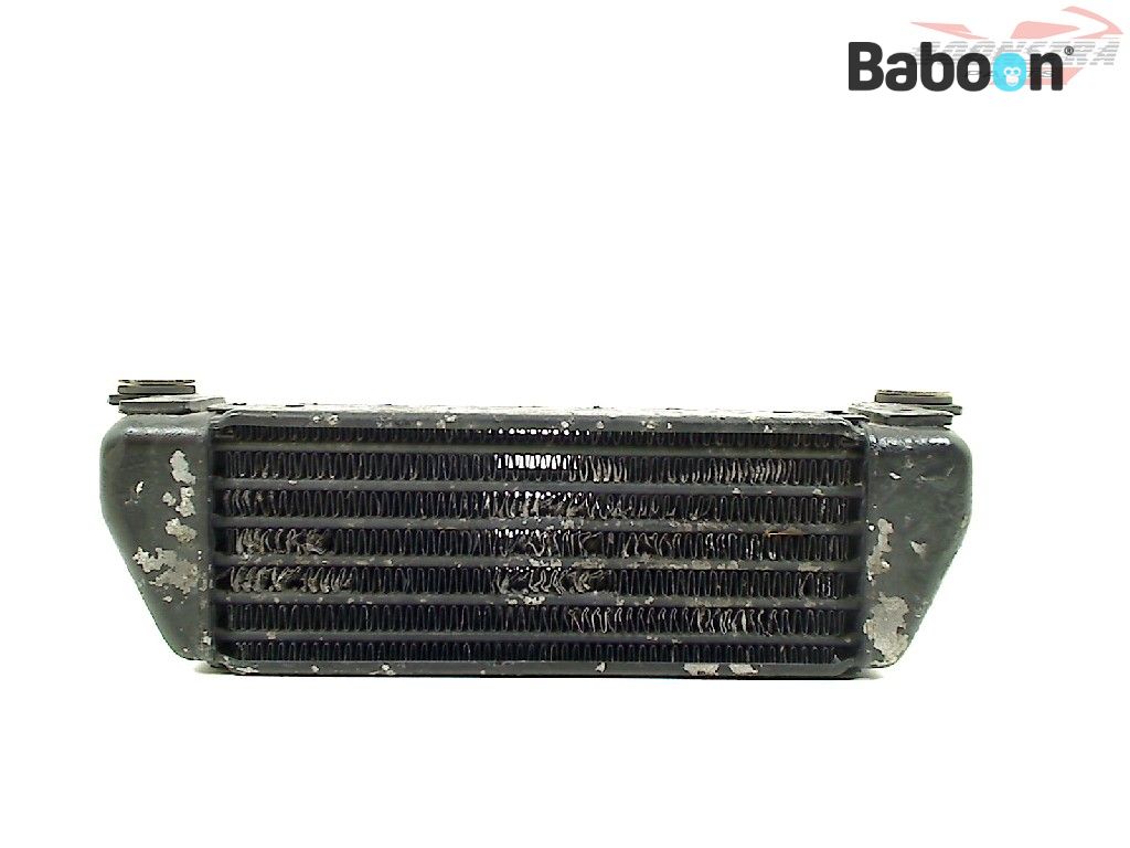 BMW R 1100 RS (R1100RS 93) Oil Cooler