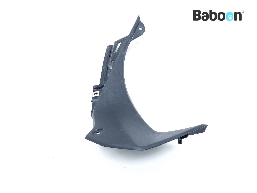 Kawasaki ZX 6 R 2019-2020 (NINJA ZX-6R ZX636G-H) Fairing
