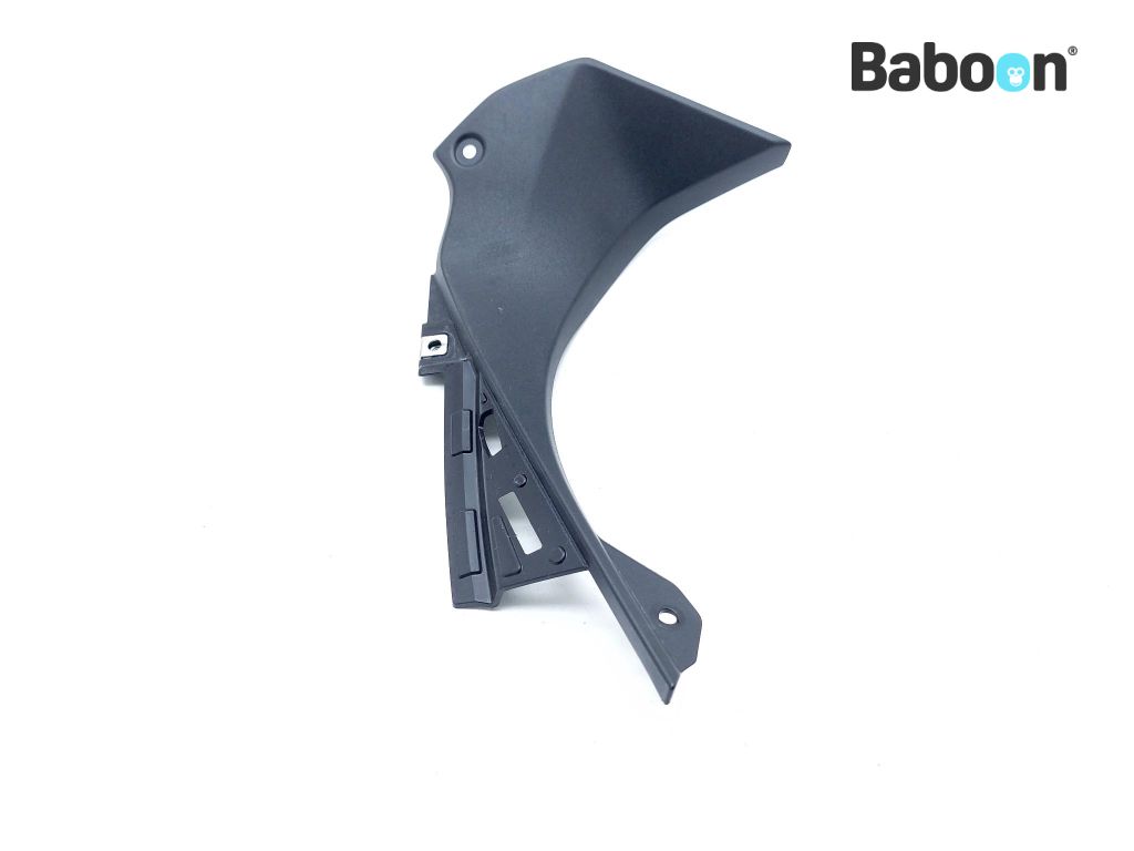 Kawasaki ZX 6 R 2019-2020 (NINJA ZX-6R ZX636G-H) Fairing