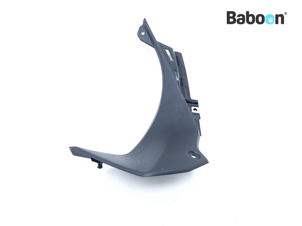 Kawasaki ZX 6 R 2019-2020 (NINJA ZX-6R ZX636G-H) Fairing