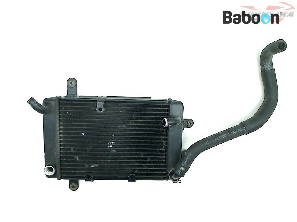 Suzuki AN 400 Burgman 1998-2000 (AN400) Radiateur