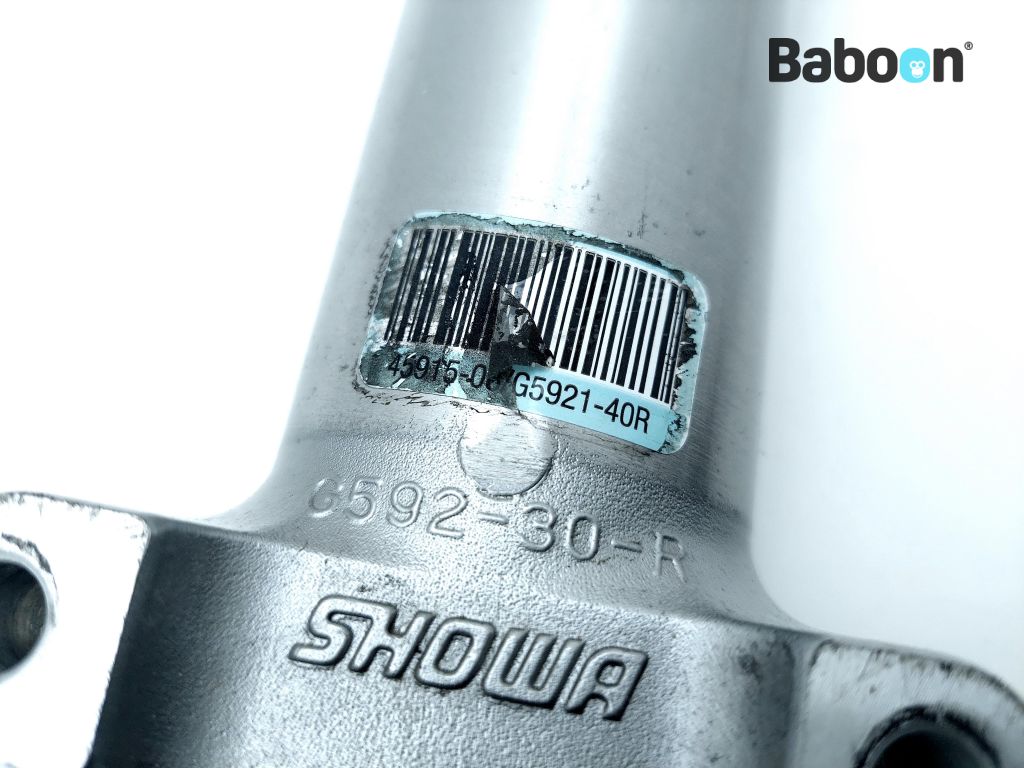 HarleyDavidson FLSTC Softail Heritage Classic 20072008 Front Fork