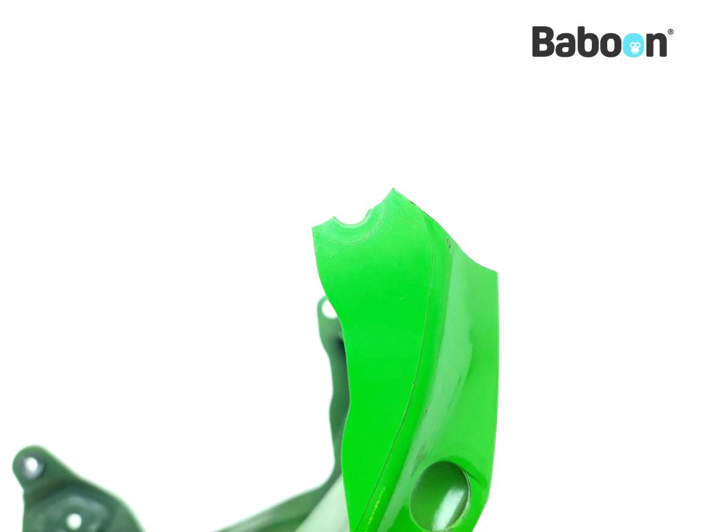 Kawasaki ZX 10 R 2011-2015 + ABS (NINJA ZX-10R ZX1000J-K) Tank