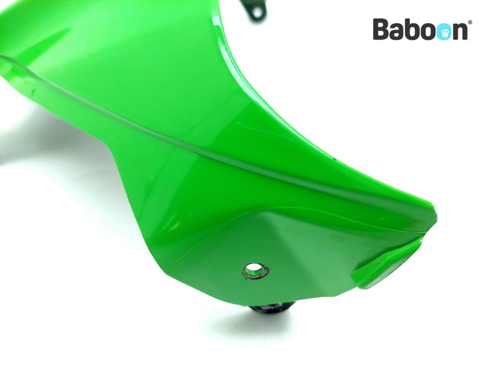 Kawasaki ZX 10 R 2011-2015 + ABS (NINJA ZX-10R ZX1000J-K) Tank