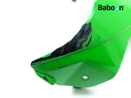 Kawasaki ZX 10 R 2011-2015 + ABS (NINJA ZX-10R ZX1000J-K) Tank
