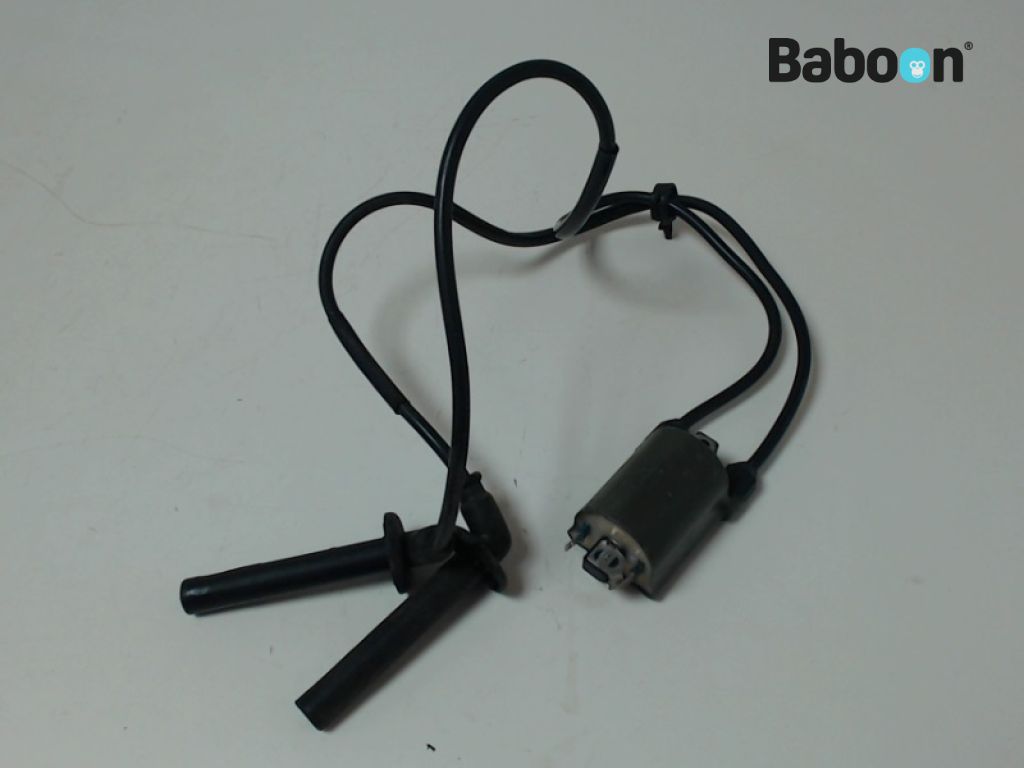 Honda FJS 600 2001-2004 +ABS Silverwing (FJS600 FJS600A) Ignition Coil