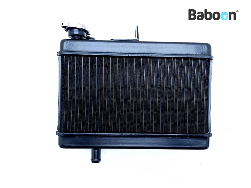 Baboon Motorcycle Parts Delar Radiator
