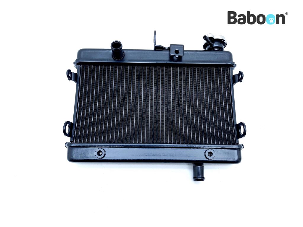 Baboon Motorcycle Parts Delar Radiator
