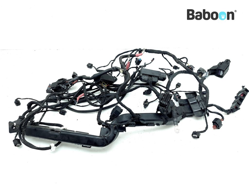 BMW R 1200 RS LC (R1200RS K54) Wiring Harness (Main)