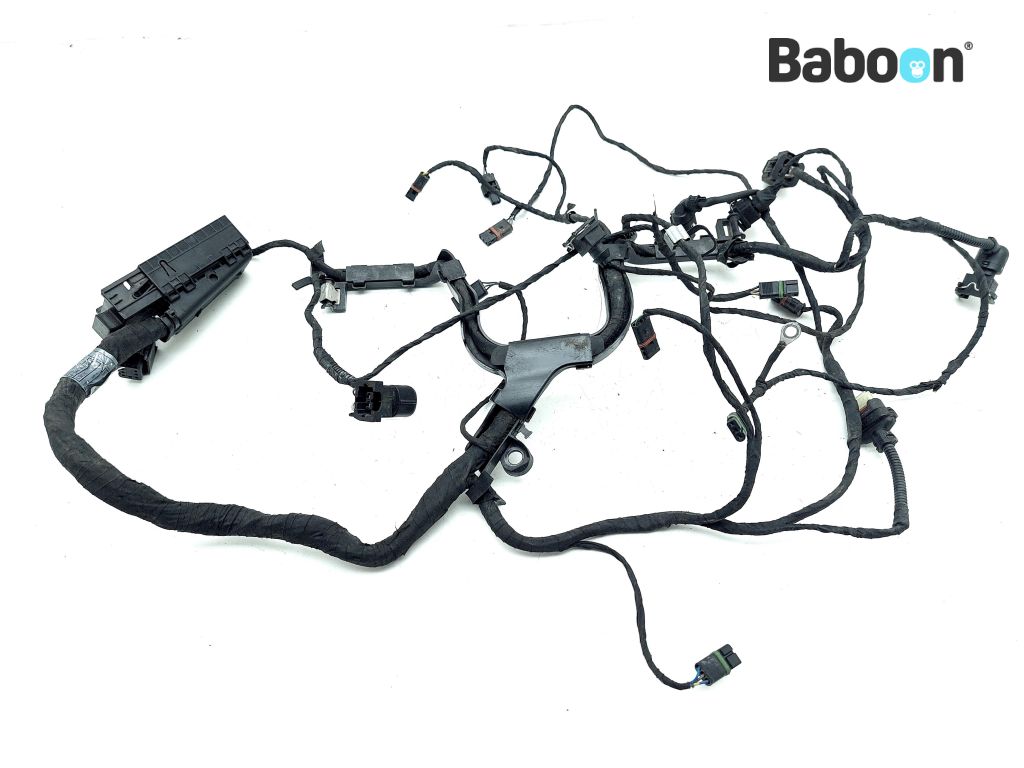 BMW R 1200 RS LC (R1200RS K54) Wiring Harness Engine (8544470)