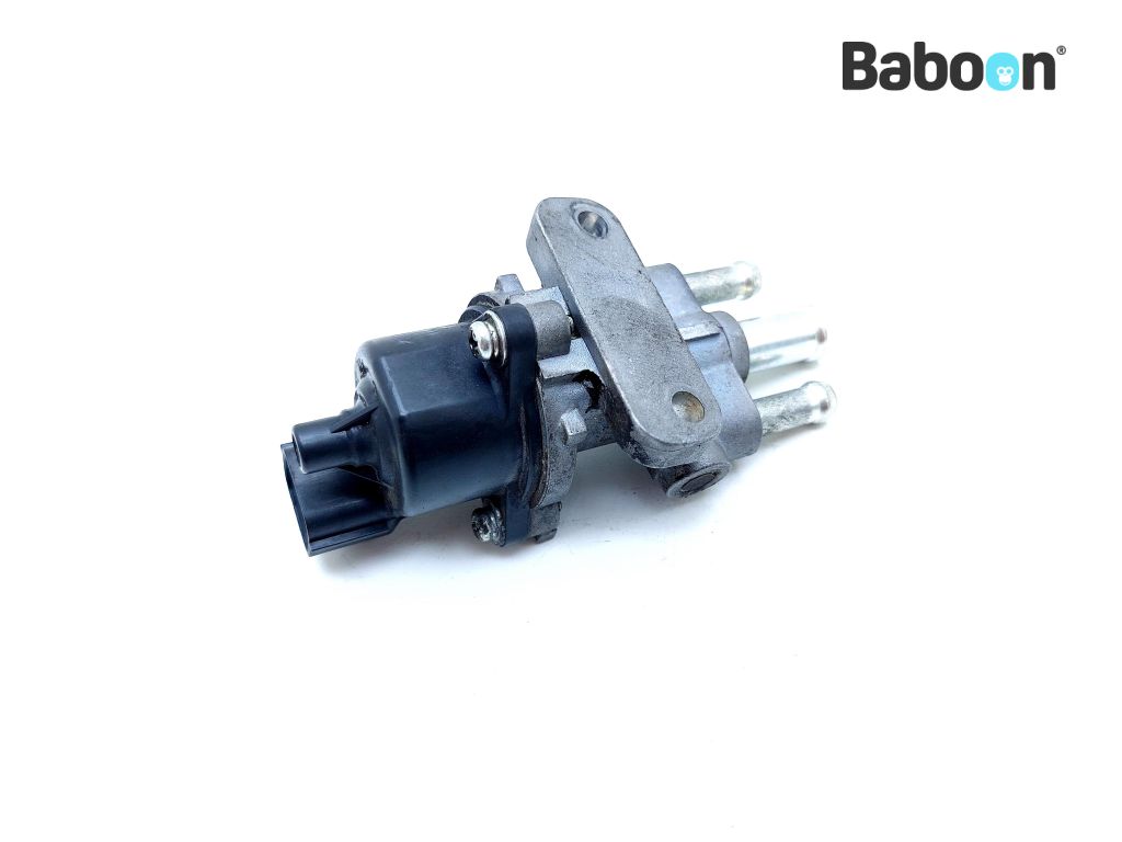 Suzuki SV 650 2007-2012 (SV650 SV650N SV650S) Idle Speed Control