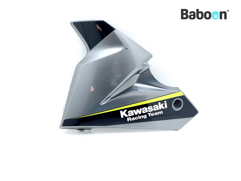 Kawasaki NINJA 125 2019 (BX125) Carenagem inferior lado esquerdo (55028-0482)