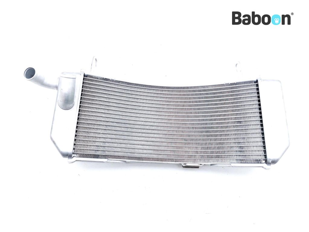 Yamaha XP 530 T-Max 2017-2019 (XP530 TMAX) Radiateur (BC3-12461-00