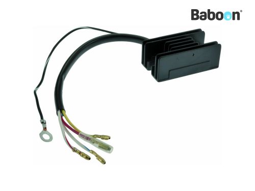 WAI Voltage Regulator S1002E