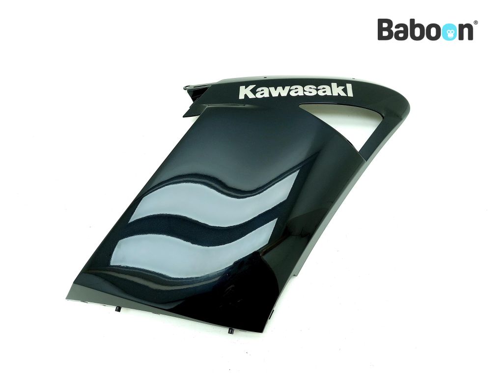 Kawasaki GTR 1400 2008-2009 (GTR1400 ZG1400A-B) Védokonzol, jobb (55028-0186-19A)