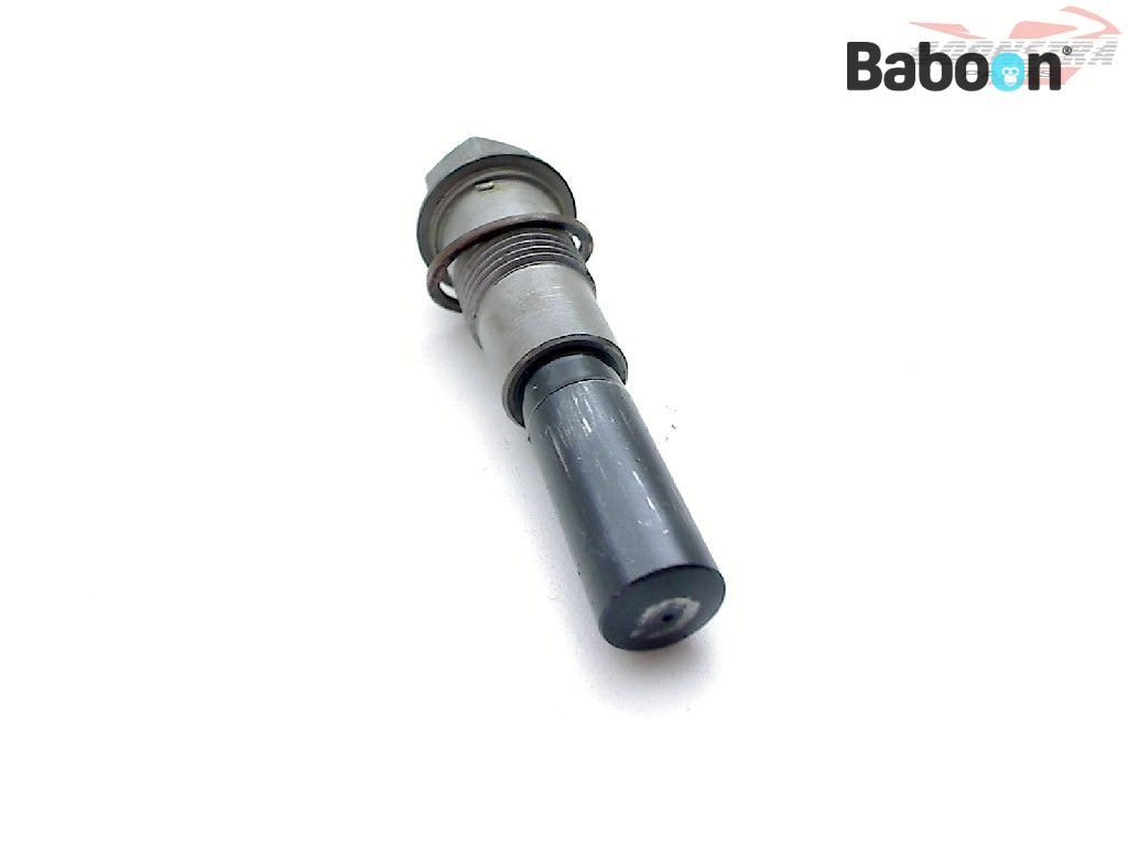 BMW R 1200 GS 20132016 (R1200GS LC K50) Camshaft Chain Tensioner