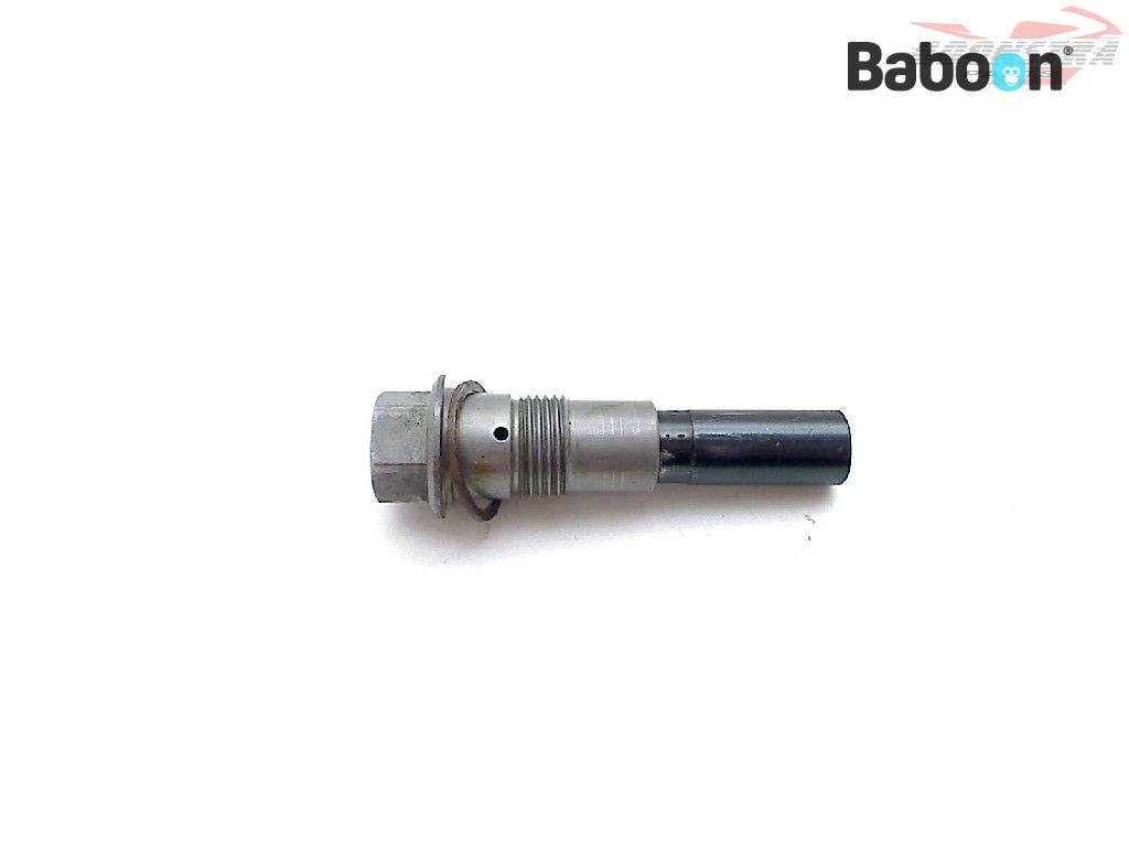 BMW R 1200 GS 20132016 (R1200GS LC K50) Camshaft Chain Tensioner Baboon World of Motorcycle