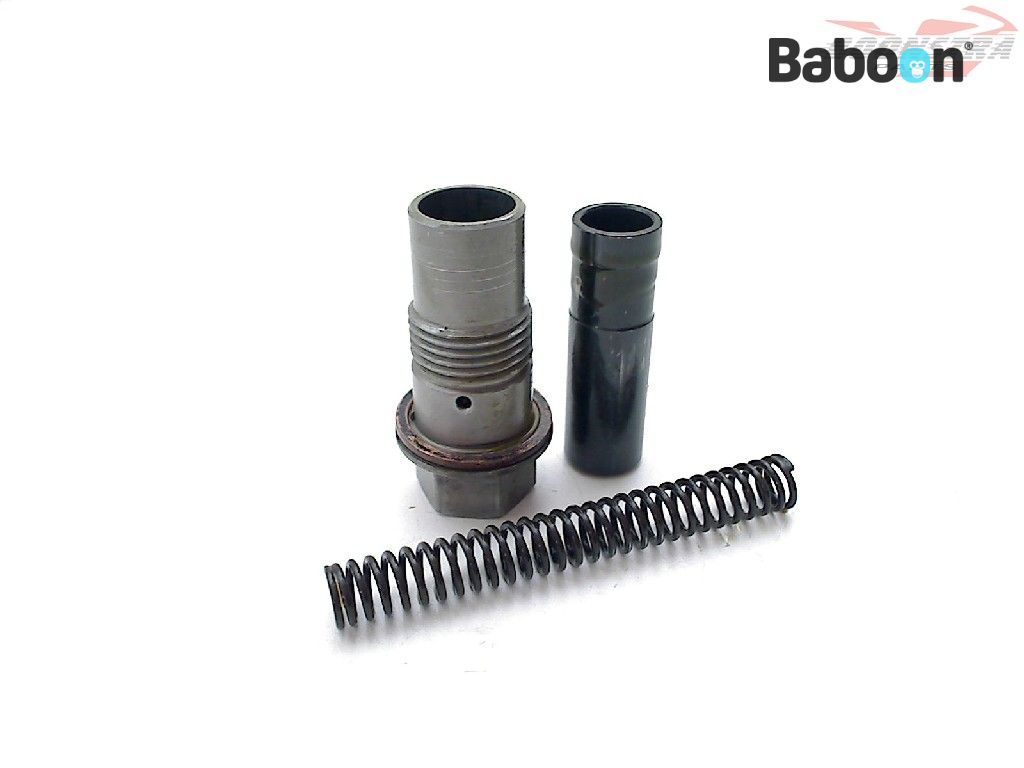 BMW R 1200 GS 20132016 (R1200GS LC K50) Camshaft Chain Tensioner