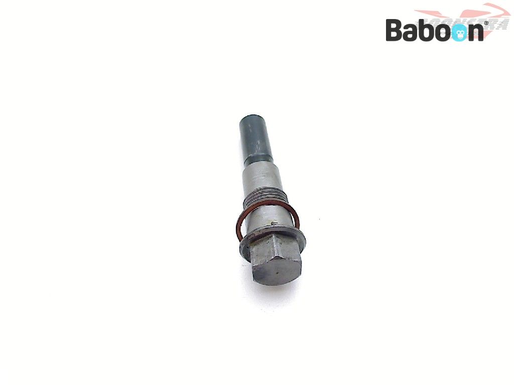 BMW R 1200 GS 20132016 (R1200GS LC K50) Camshaft Chain Tensioner Baboon World of Motorcycle