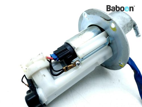 YAMAMOTO ZXMOTO ZXMotor – 香水(女性用)