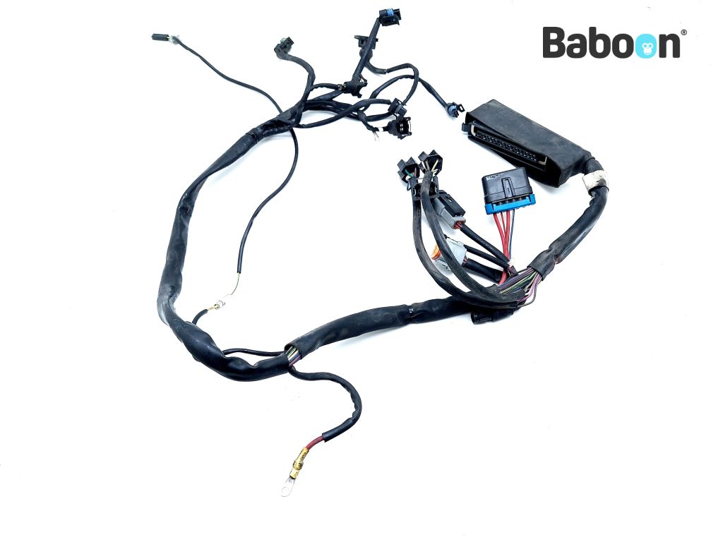 HarleyDavidson FLHR Road King 19961998 (EFI) Wiring Harness Front