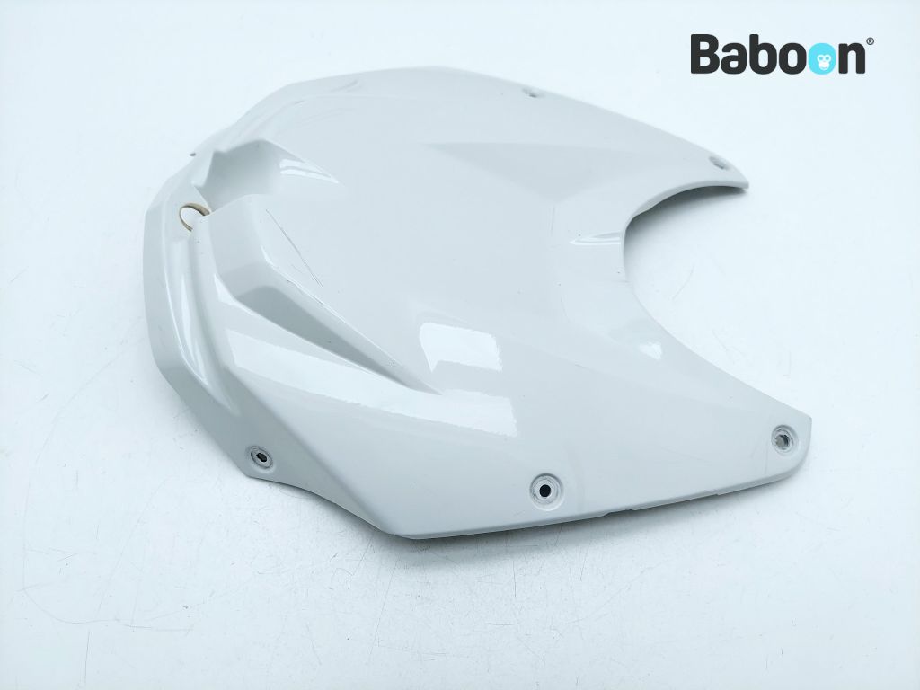 BMW S 1000 RR 2010-2011 (S1000RR 10 K46) Tank Cover