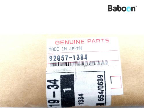 Kawasaki ZX 9 R 1994-1997 (NINJA ZX-9R ZX900B) Cam Chain (92057
