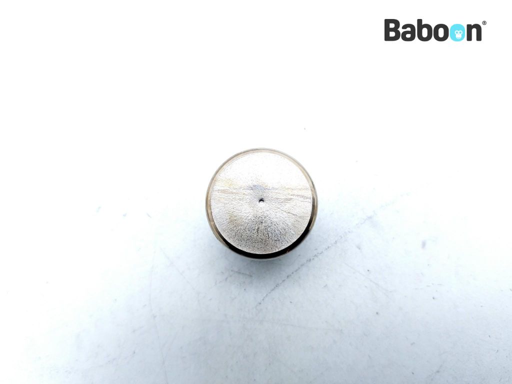 Honda CB 650 19791985 (CB650) Piston Brake Caliper (45107MA5771