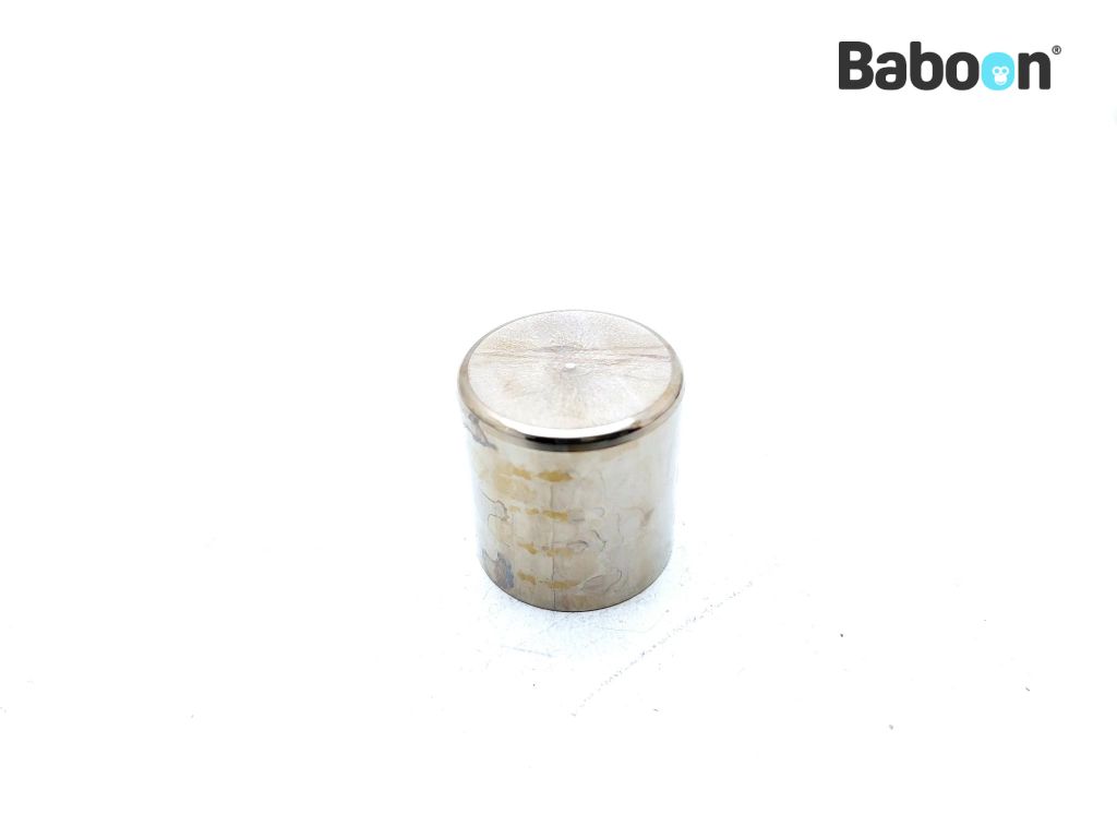 Honda CB 650 19791985 (CB650) Piston Brake Caliper (45107MA5771